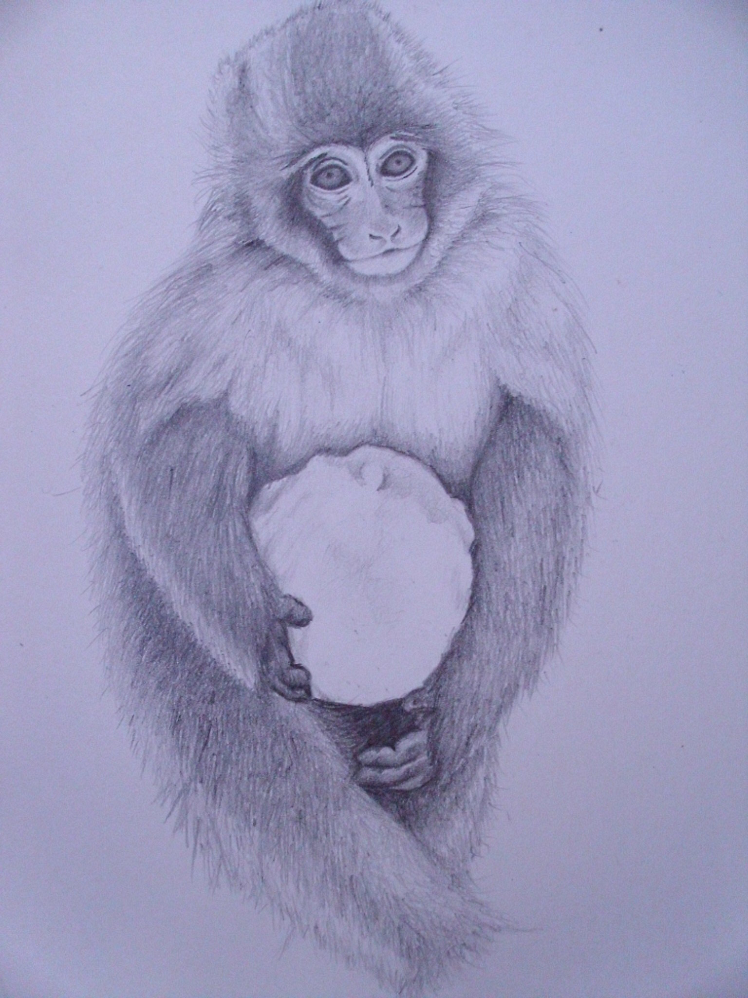 Snow Monkey 2